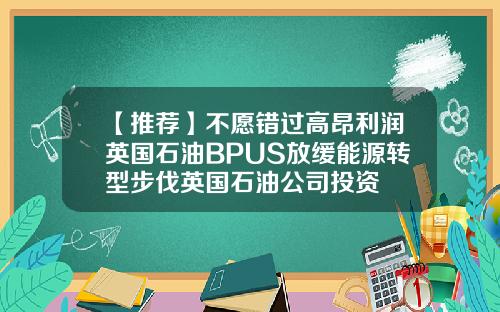 【推荐】不愿错过高昂利润英国石油BPUS放缓能源转型步伐英国石油公司投资