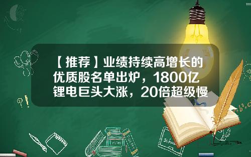 【推荐】业绩持续高增长的优质股名单出炉，1800亿锂电巨头大涨，20倍超级慢牛股现身（名单）-股票资讯排行榜