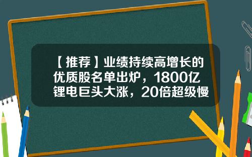 【推荐】业绩持续高增长的优质股名单出炉，1800亿锂电巨头大涨，20倍超级慢牛股现身（名单）-股票资讯最快的网站