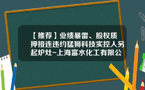 【推荐】业绩暴雷、股权质押接连违约猛狮科技实控人另起炉灶-上海富水化工有限公司