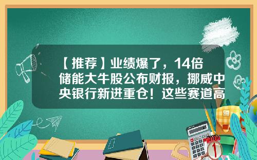 【推荐】业绩爆了，14倍储能大牛股公布财报，挪威中央银行新进重仓！这些赛道高景气高增长，业绩超预期潜力股出炉-重仓银行股的基金
