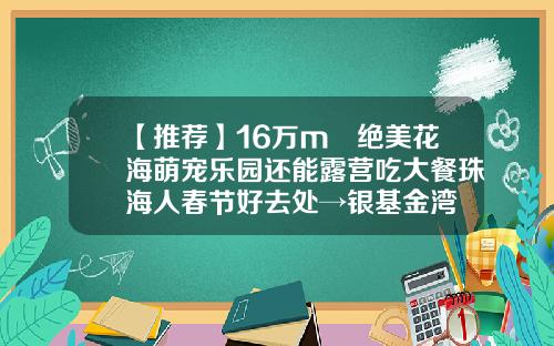 【推荐】16万m²绝美花海萌宠乐园还能露营吃大餐珠海人春节好去处→银基金湾
