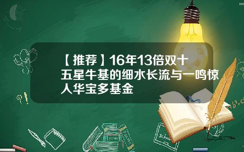 【推荐】16年13倍双十五星牛基的细水长流与一鸣惊人华宝多基金