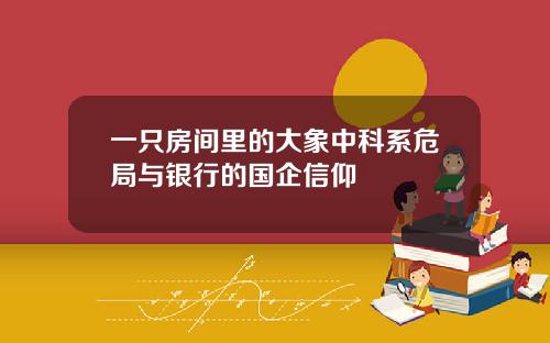一只房间里的大象中科系危局与银行的国企信仰