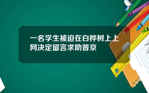 一名学生被迫在白桦树上上网决定留言求助普京