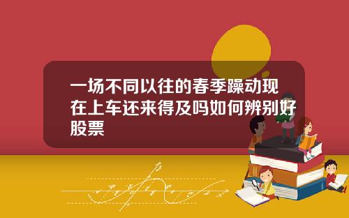 一场不同以往的春季躁动现在上车还来得及吗如何辨别好股票