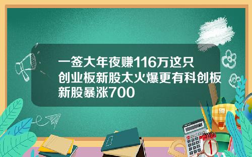 一签大年夜赚116万这只创业板新股太火爆更有科创板新股暴涨700