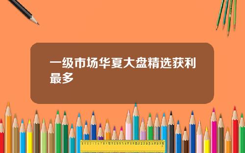 一级市场华夏大盘精选获利最多