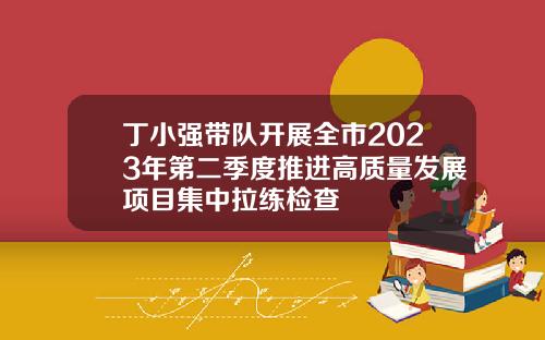 丁小强带队开展全市2023年第二季度推进高质量发展项目集中拉练检查
