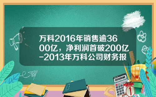万科2016年销售逾3600亿，净利润首破200亿-2013年万科公司财务报表