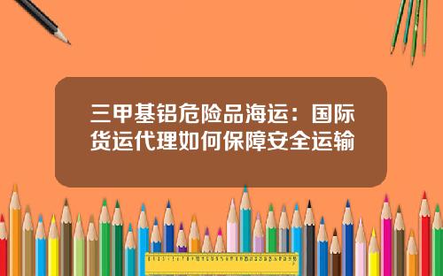 三甲基铝危险品海运：国际货运代理如何保障安全运输
