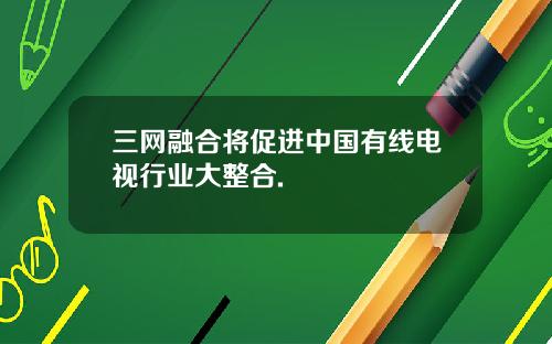 三网融合将促进中国有线电视行业大整合.