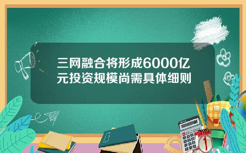 三网融合将形成6000亿元投资规模尚需具体细则