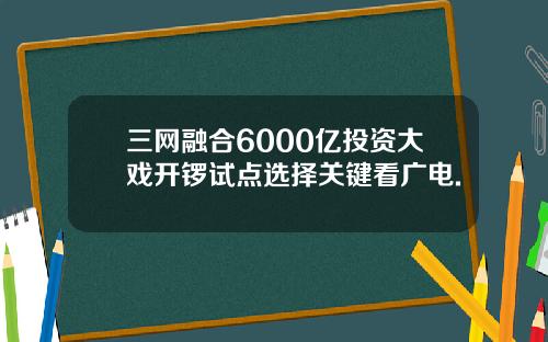 三网融合6000亿投资大戏开锣试点选择关键看广电.