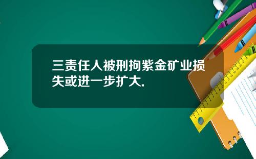 三责任人被刑拘紫金矿业损失或进一步扩大.