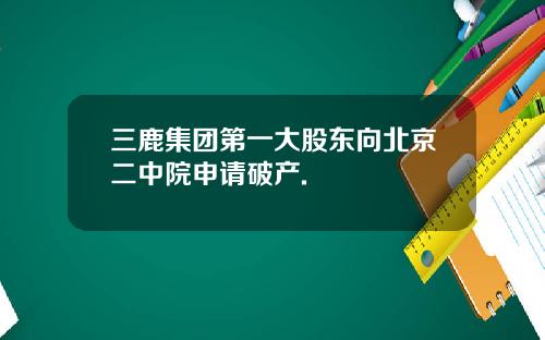 三鹿集团第一大股东向北京二中院申请破产.