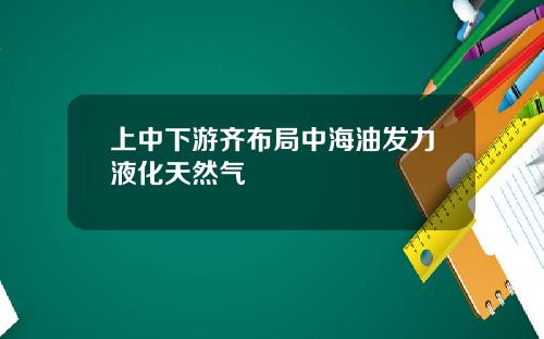 上中下游齐布局中海油发力液化天然气