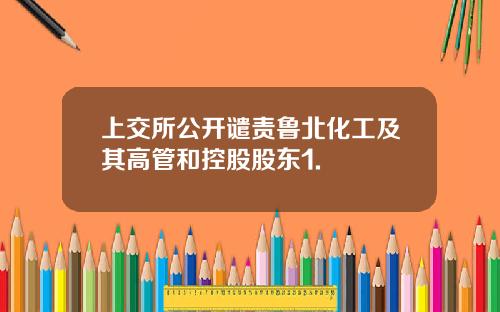 上交所公开谴责鲁北化工及其高管和控股股东1.