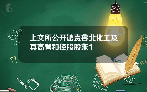 上交所公开谴责鲁北化工及其高管和控股股东1