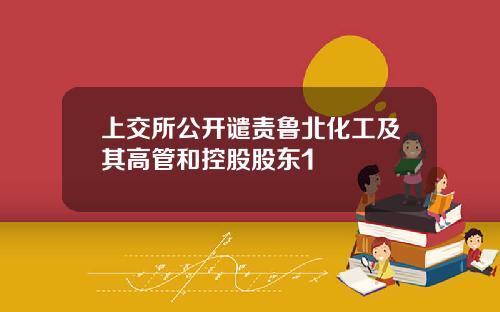 上交所公开谴责鲁北化工及其高管和控股股东1