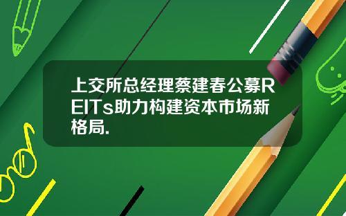 上交所总经理蔡建春公募REITs助力构建资本市场新格局.