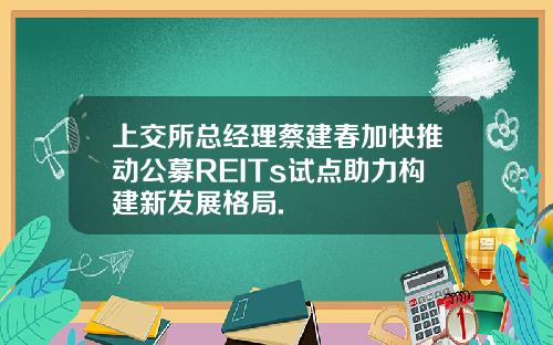 上交所总经理蔡建春加快推动公募REITs试点助力构建新发展格局.