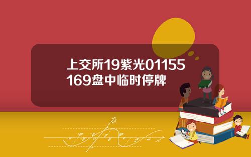 上交所19紫光01155169盘中临时停牌