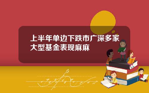上半年单边下跌市广深多家大型基金表现麻麻