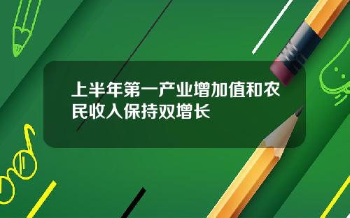 上半年第一产业增加值和农民收入保持双增长