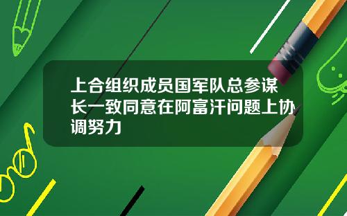 上合组织成员国军队总参谋长一致同意在阿富汗问题上协调努力