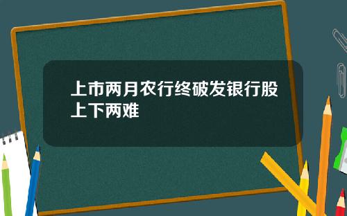 上市两月农行终破发银行股上下两难