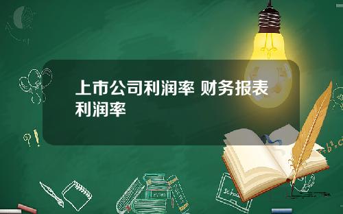 上市公司利润率 财务报表利润率