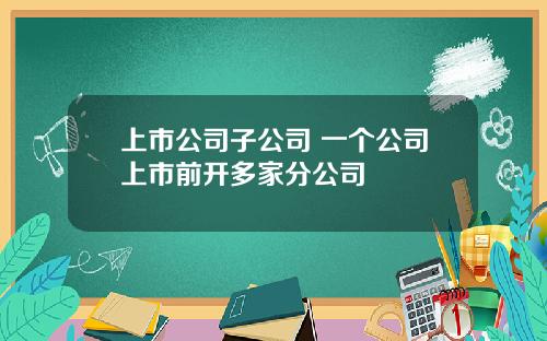 上市公司子公司 一个公司上市前开多家分公司