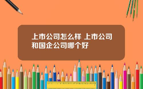 上市公司怎么样 上市公司和国企公司哪个好