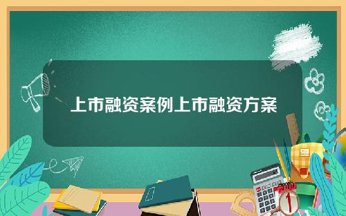 上市融资案例上市融资方案