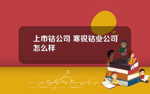 上市钴公司 寒锐钴业公司怎么样