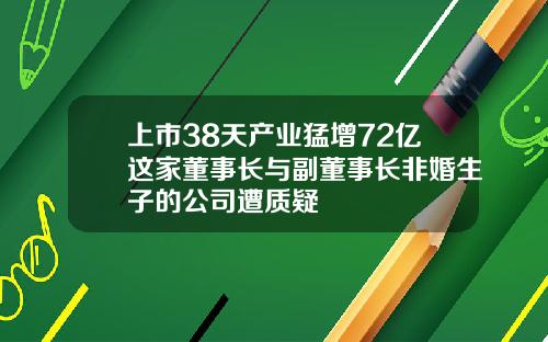 上市38天产业猛增72亿这家董事长与副董事长非婚生子的公司遭质疑