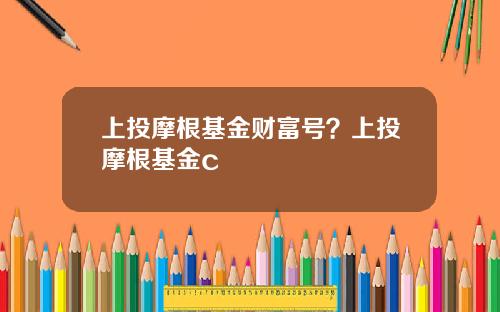 上投摩根基金财富号？上投摩根基金c