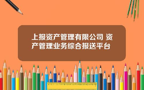 上报资产管理有限公司 资产管理业务综合报送平台
