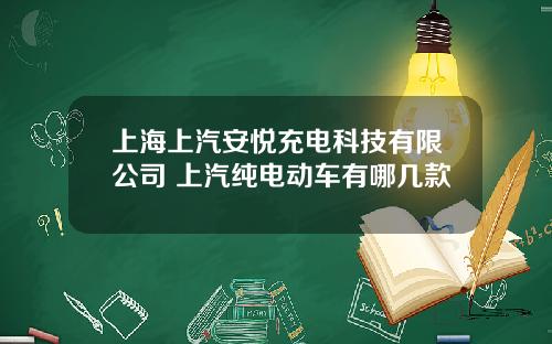 上海上汽安悦充电科技有限公司 上汽纯电动车有哪几款