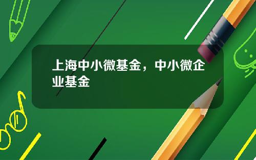 上海中小微基金，中小微企业基金