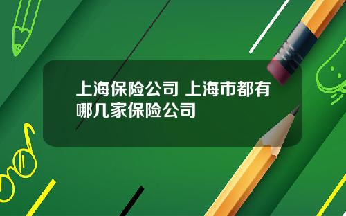 上海保险公司 上海市都有哪几家保险公司