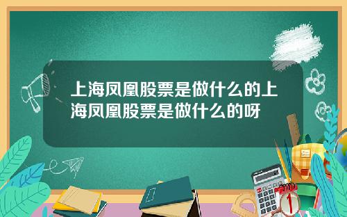 上海凤凰股票是做什么的上海凤凰股票是做什么的呀