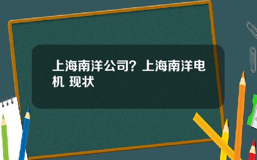 上海南洋公司？上海南洋电机 现状