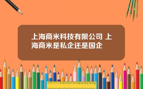 上海商米科技有限公司 上海商米是私企还是国企