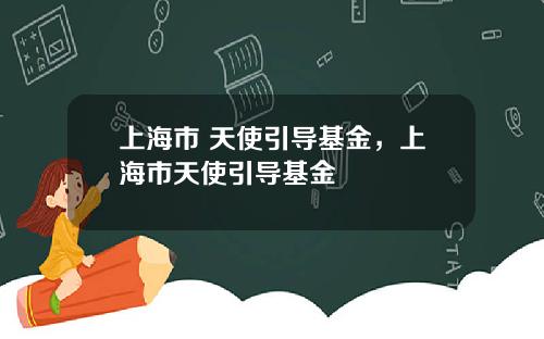上海市 天使引导基金，上海市天使引导基金