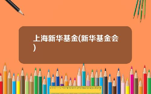 上海新华基金(新华基金会)