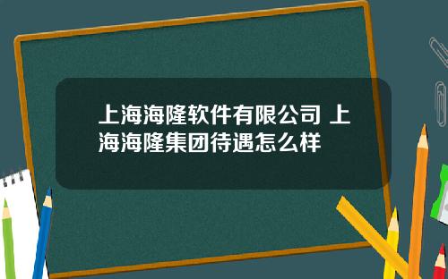 上海海隆软件有限公司 上海海隆集团待遇怎么样