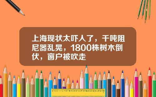 上海现状太吓人了，千吨阻尼器乱晃，1800株树木倒伏，窗户被吹走