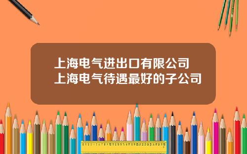 上海电气进出口有限公司 上海电气待遇最好的子公司